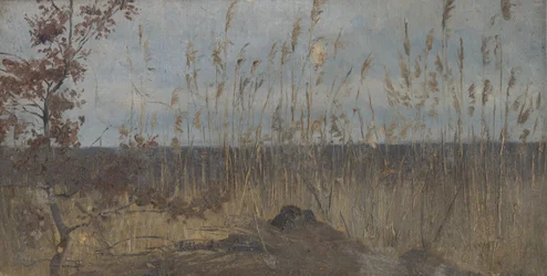 Studie van landschap rond een moeras